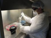 A qué se dedica el Laboratorio de Contención Biológica del INTA