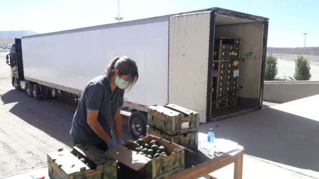 05 - 05 - eliminan uso de papel en intercambio comercial