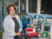 Científicos argentinos trabajan en productos biológicos contra el SARS-CoV-2