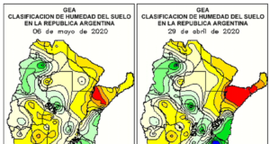 Cuáles son las dudas para sembrar maíz para esta temporada