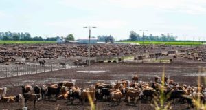 COVID-19 y el futuro de la agricultura