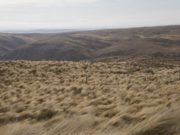 Lunes 11 muy ventoso en la provincia de San Luis