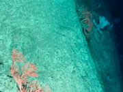 Un submarino ruso autónomo alcanzó el punto más profundo de la tierra