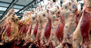 La faena bovina de abril aumentó el 10%