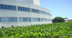 Las ventas de Bioceres subieron 9% en el primer trimestre