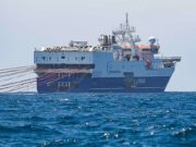 Greenpeace denuncia bombardeos acústicos en aguas argentinas