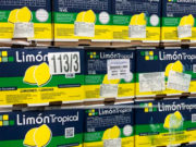 Luz verde a Tropical para exportar frutas desde instalaciones propias