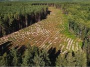 O detenemos la destrucción de la naturaleza o sufriremos pandemias peores