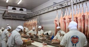 Fifra relativiza los datos de mayor faena del mes de abril