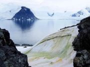El cambio climático está volviendo verdes partes de la Antártida
