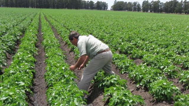 26 - 05 - pequeños productores sin acceso al crédito subsidiado