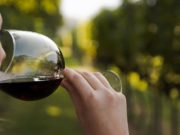 Aumentó el consumo de vino en abril
