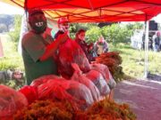 Bolsones de verduras de la UTT para la Villa Azul