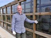 Cultivos que crecen bajo vidrio fotovoltaico
