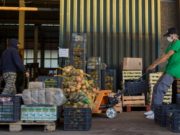 Las cooperativas de alimentos aumentaron sus ventas durante la pandemia