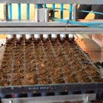 42bbea92-7c9a-4623-97b9-f491a282bcfb