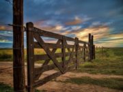 El mercado inmobiliario rural de San Luis está casi paralizado