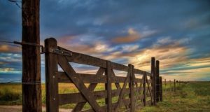 El mercado inmobiliario rural de San Luis está casi paralizado