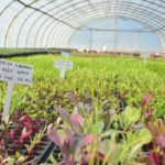 77128c01-646a-4936-a442-aab5a7bebb79