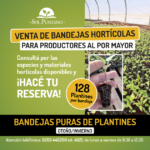 Bandeja-Plantines-por-mayor-630×630