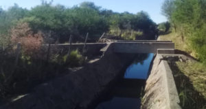 San Luis Agua continúa con las tareas de reactivación y puesta en valor de canales de riego