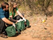 Más de 60 animales volvieron a su hábitat natural en San Luis