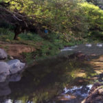 Río Juan Gómez 3