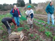 La pandemia impulsa cambios en la horticultura