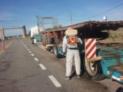 Acciones de prevención contra el picudo del algodonero en San Luis