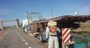 Acciones de prevención contra el picudo del algodonero en San Luis