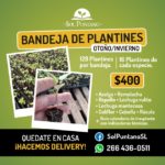 WhatsApp Image 2020-05-13 at 19.38.21 (2)