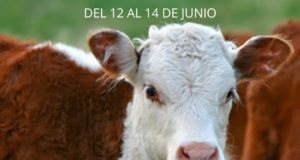 La Rural de San Luis prepara su 40° Exposición, venta del ternero y remate de hacienda