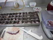 Recomendaciones de Senasa para evitar la propagación de la triquinosis