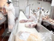 Prevención de COVID-19 en frigoríficos de la provincia de La Pampa