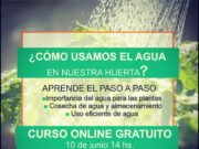 El uso eficiente del agua en la huerta, charla on line de INTA San Luis