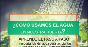 El uso eficiente del agua en la huerta, charla on line de INTA San Luis