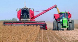 Llega a 49,5 millones de toneladas la cosecha de soja