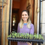 13-06 – sol puntano