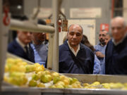 Todo listo para el primer embarque de limones tucumanos a China