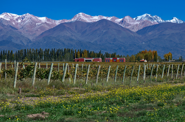 15 - 06 - vitivinicultura - aportes al país