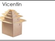 Qué dicen los datos de investigaciones sobre el grupo Vicentin