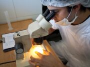 Senasa insiste en el análisis de triquinosis a la carne antes de su consumo
