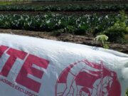 El proyecto de Ley de Protección de los Cinturones Verdes Productivos llega al Congreso