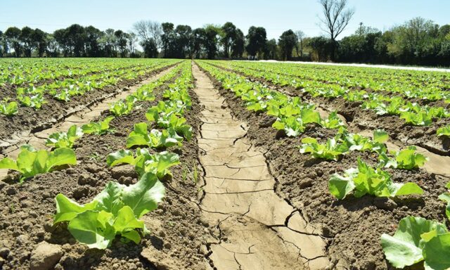 23- 06 - Agroecología