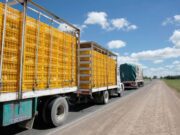 El gobierno lanza una app para transporte y abastecimiento de alimentos