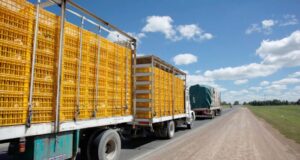 El gobierno lanza una app para transporte y abastecimiento de alimentos