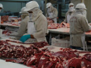 IPCVA: En mayo crecieron las exportaciones de carne