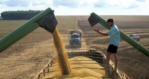 China aprueba importación de soja transgénica desarrollada en el país