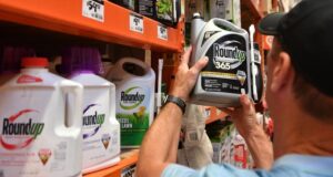 Bayer acuerda indemnizar a demandantes en EE. UU. por caso de glifosato