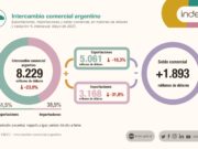 Las exportaciones e importaciones cayeron hasta 31,8% en mayo